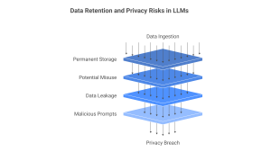 enterprise llm privacy concerns